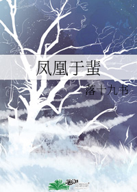 凤凰于蜚