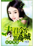 四夫争宠：夫君个个都倾城
