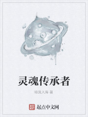 灵魂传承者
